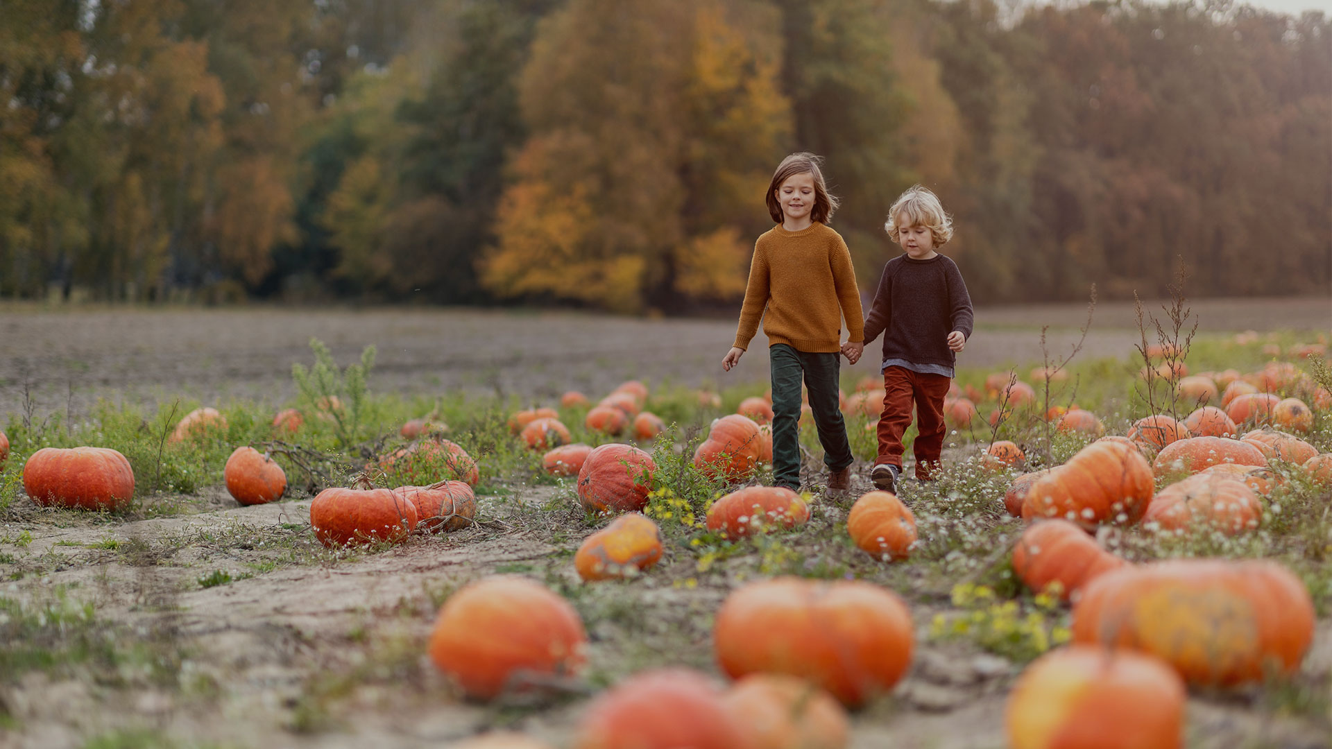 Fall Events in Montgomery County