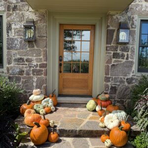 Fall Pumpkin Package - Elevated Front Porch (corn stalks not included)