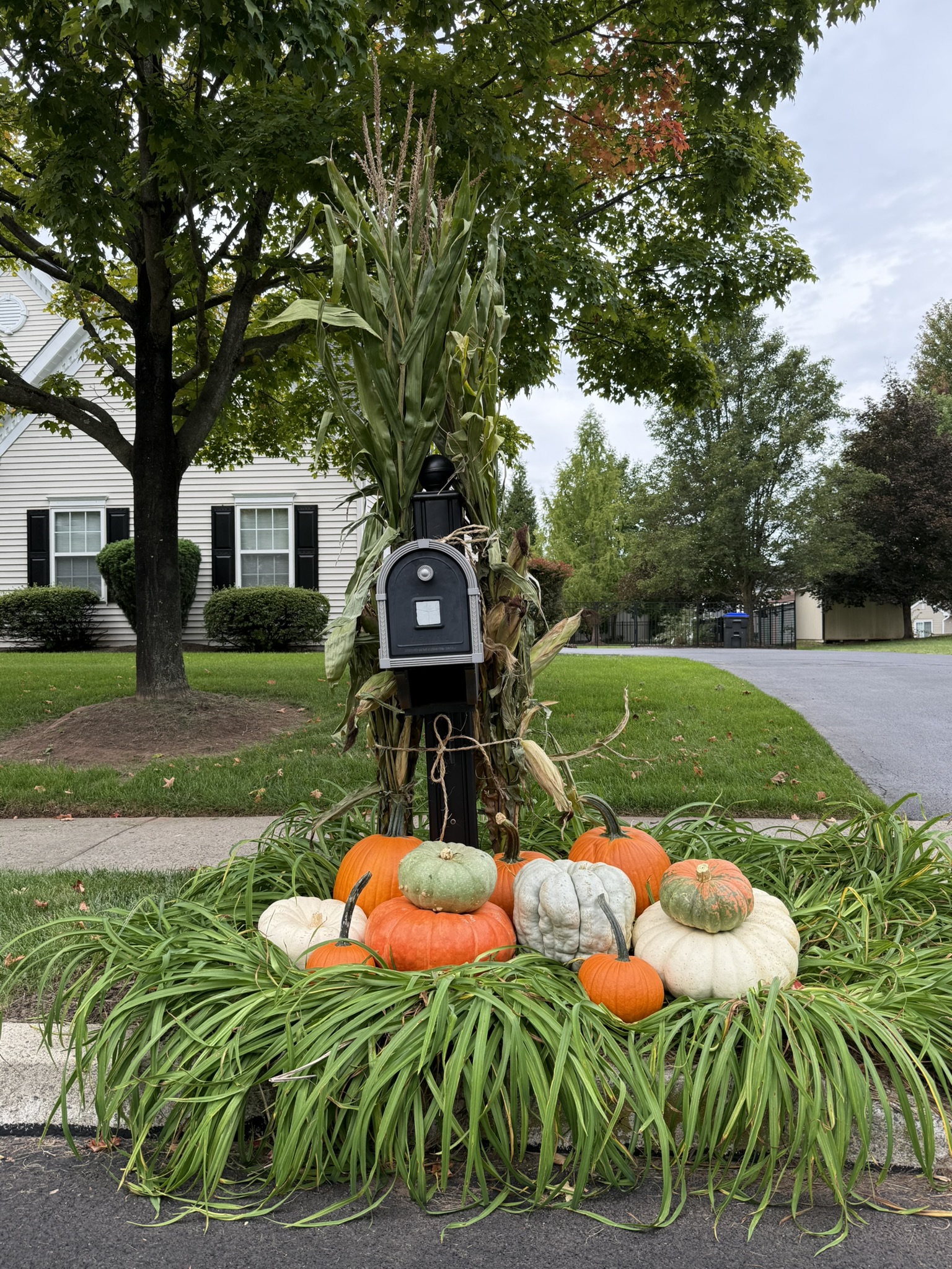 Fall Pumpkin Package - Mailbox - Image 4