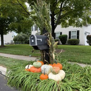 Fall Pumpkin Package - Mailbox
