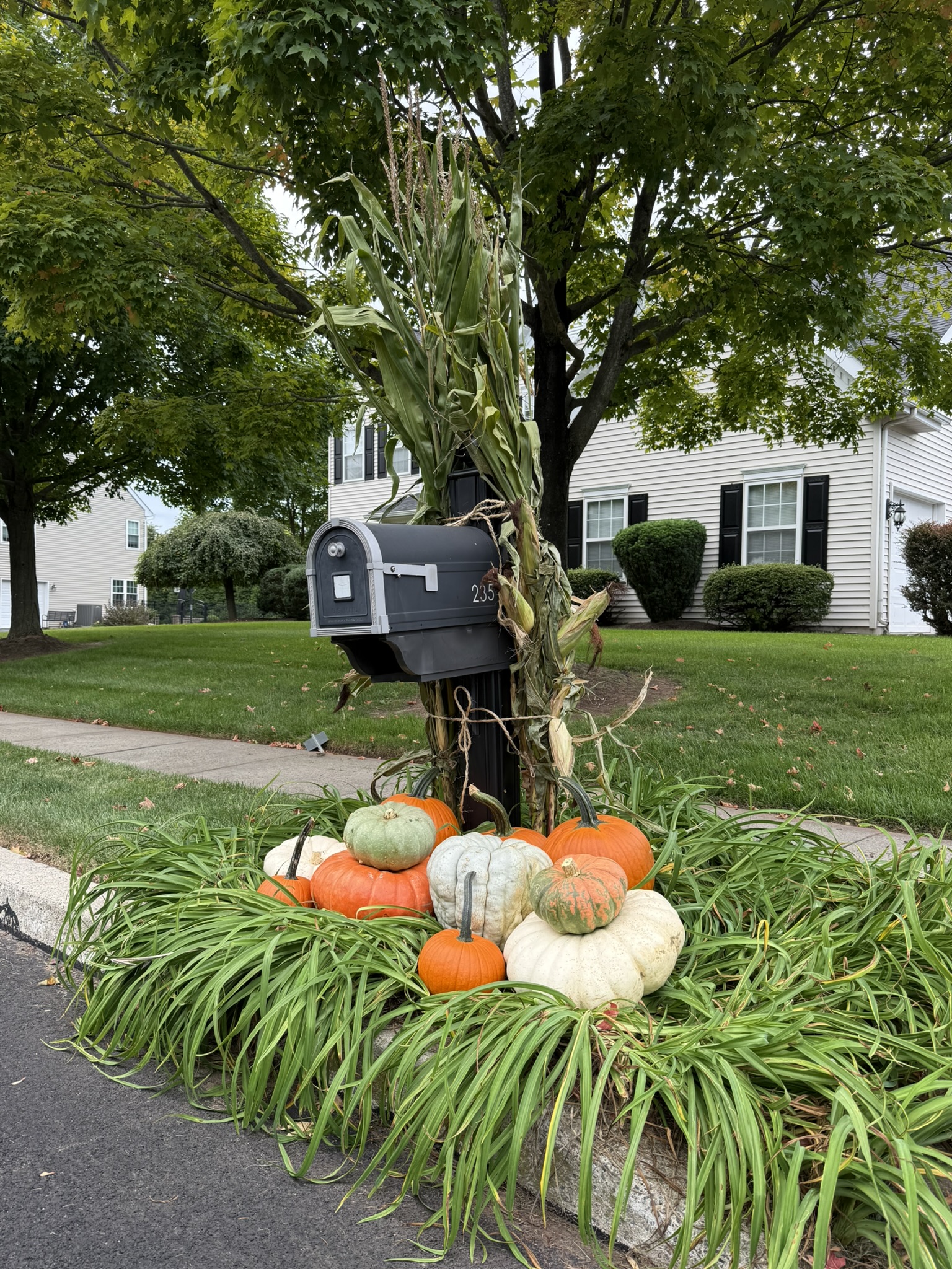 Fall Pumpkin Package - Mailbox