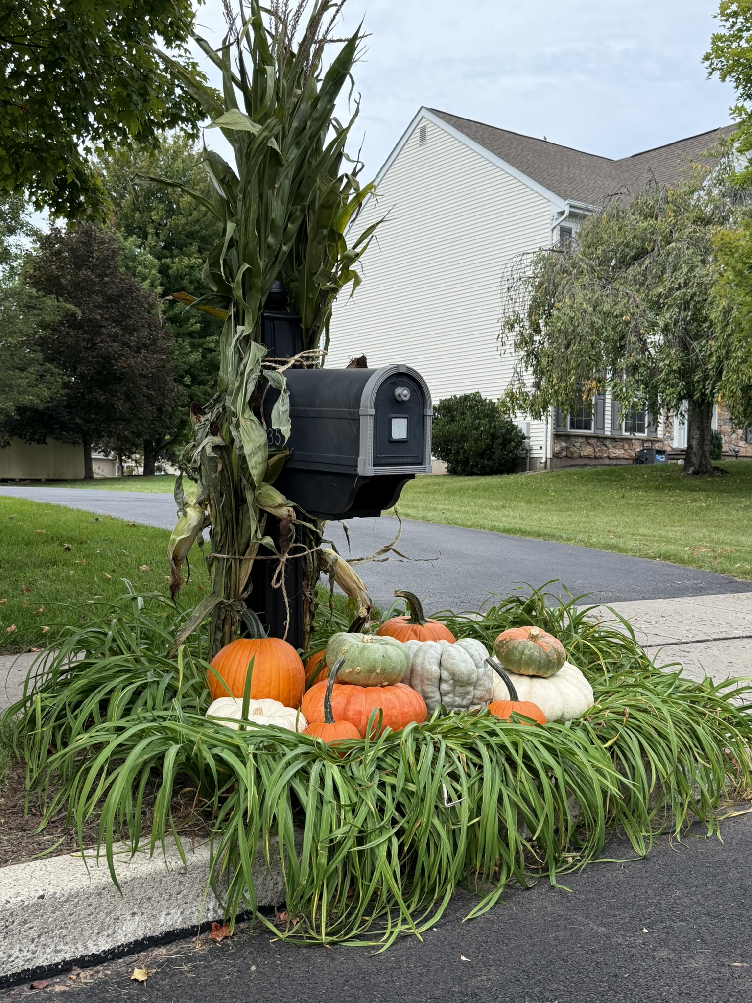 Fall Pumpkin Package - Mailbox - Image 2