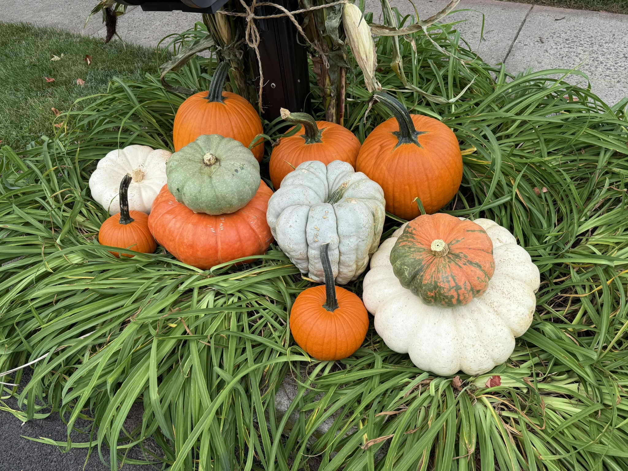 Fall Pumpkin Package - Mailbox - Image 3