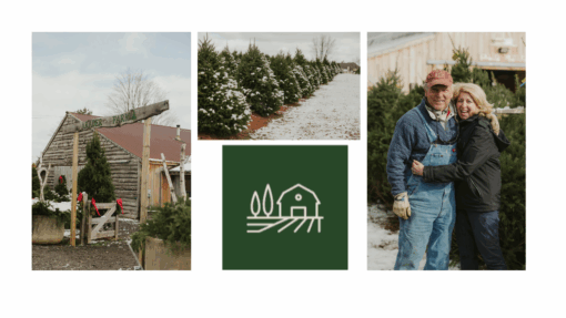 Web Site image