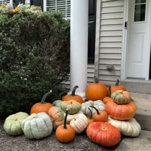 Fall Pumpkin Package - Accent Display